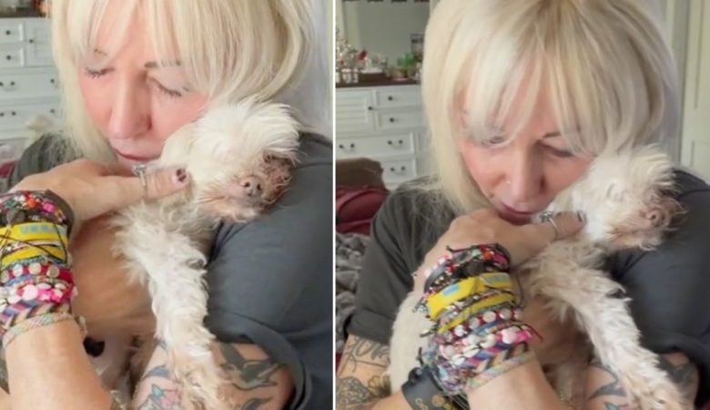 Taubblinde Hundeseniorin, die “nie Liebe kannte”, fühlt sich beim langsamen Tanz mit ihrer neuen Mutter endlich sicher