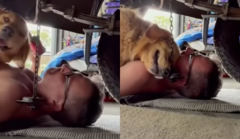 Hund krabbelt unter das Auto des Mechaniker-Vaters, um ihn zu knuddeln