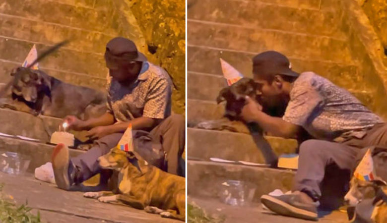 Passant filmt Obdachlosen bei Geburtstagsfeier für seine Hunde und verändert sein Leben