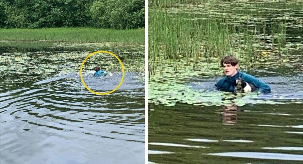 Junger Mann springt in einen See, um einem Welpen zu helfen, der zu sterben drohte –