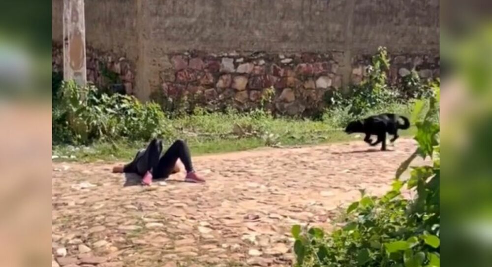 Eine Frau tut so, als läge sie auf dem Boden, und ihr Hund läuft ihr zu Hilfe –