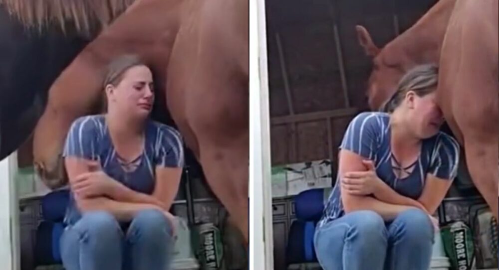 Ein Pferd umarmt seinen Besitzer, der eine schwere Zeit durchmacht –