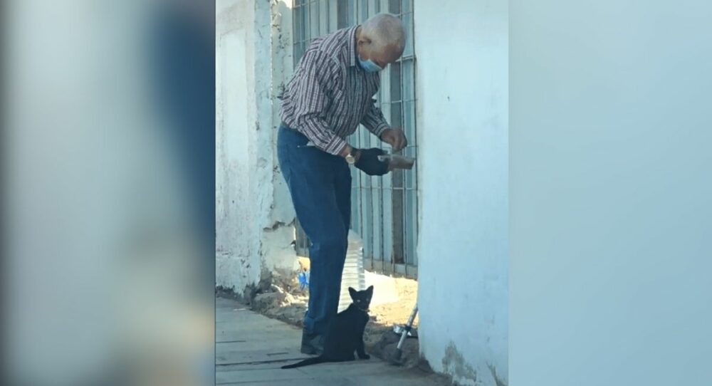 Mister besucht jeden Tag ein obdachloses Kätzchen, um ihm Futter und Wasser zu bringen – und er ist da, um es zu füttern