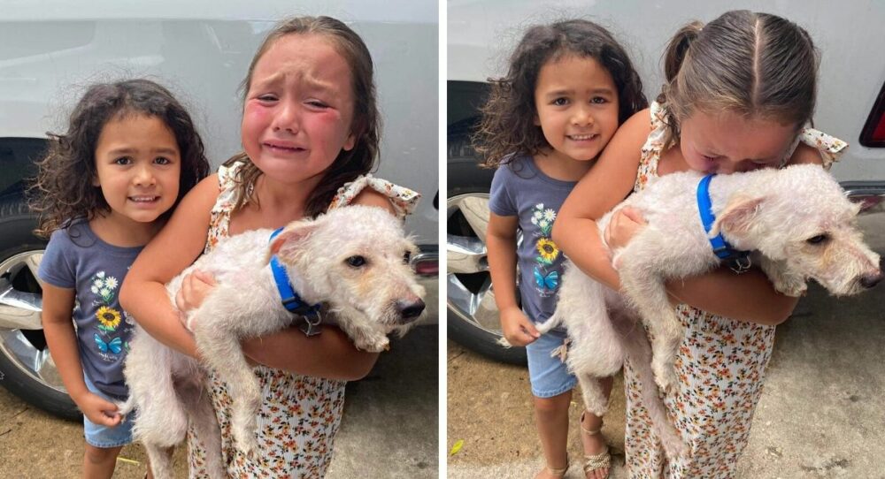 Mädchen sind überglücklich, nachdem sie ihren geliebten Welpen gefunden haben, der seit zwei Monaten vermisst worden war –