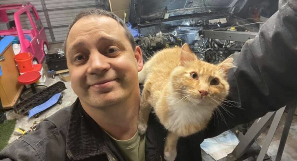 Eine Katze kommt in die Garage eines Mannes, der gerade sein Auto repariert, und beschließt, dass sie bleiben will