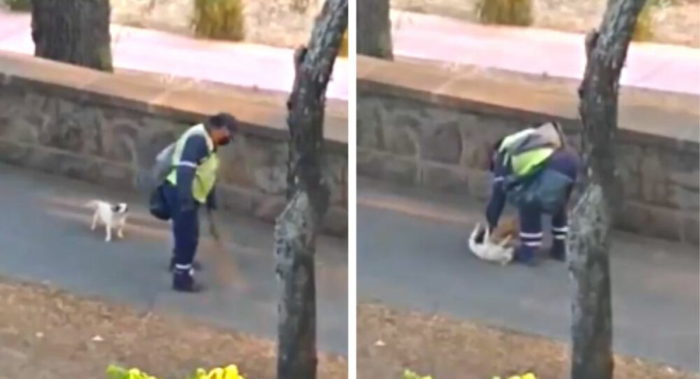 Ein Mann nimmt seinen geliebten Welpen mit, damit er ihm Gesellschaft leistet, während er die Straßen säubert –