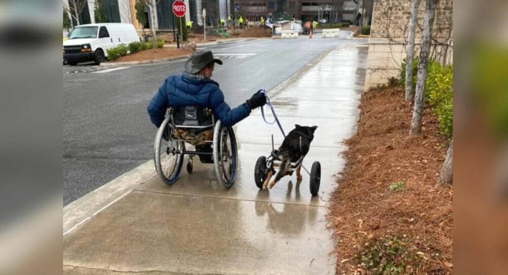 Ein Hund, der 4 Mal zurückgegeben wurde, wird von einem Mann adoptiert, der sich in demselben Zustand befindet wie er