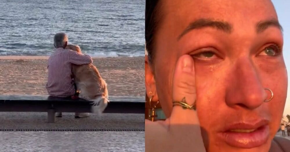 Tausende “weinen sich die Seele aus dem Leib” wegen des Videos einer Frau, die mit ihrem Hund den Sonnenuntergang beobachtet