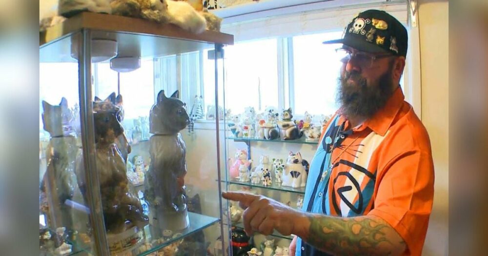 Mann mit über 1.000 Katzenfiguren zeigt seine kostbare “Mewseum”-Sammlung