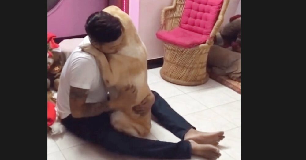 Hund, der wieder mit seinem Besitzer vereint ist, schreit auf und bricht nach der Operation in dessen Armen zusammen
