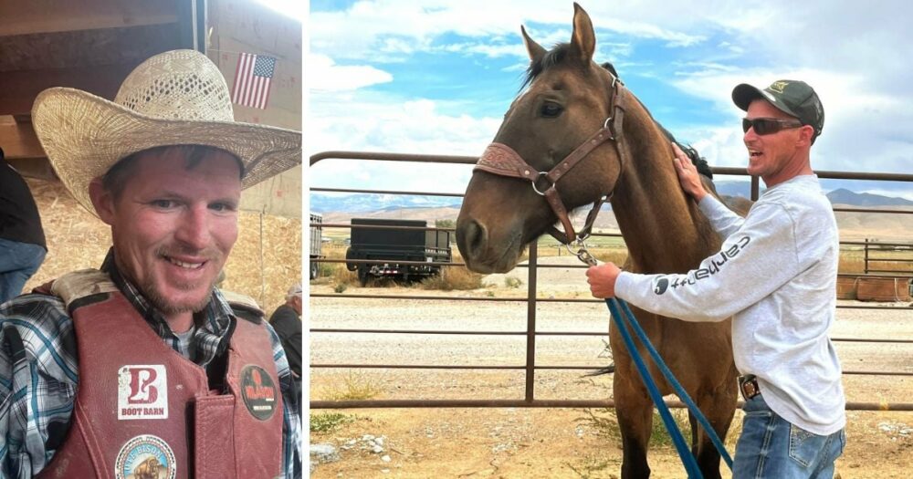 Pferd kehrt zu seinem Besitzer zurück, nachdem es sich 8 Jahre lang aus einer Laune heraus einer Herde wilder Mustangs angeschlossen hatte