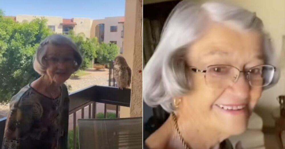 98-Jähriger verbindet sich mit Eule, die ihn jeden Tag besucht, sagt aber, die Eule sei ein Zeichen für etwas Größeres