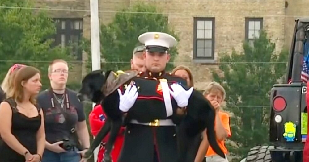 Marine gibt seinem geliebten Hund in einer rührenden Zeremonie ein letztes Lebewohl