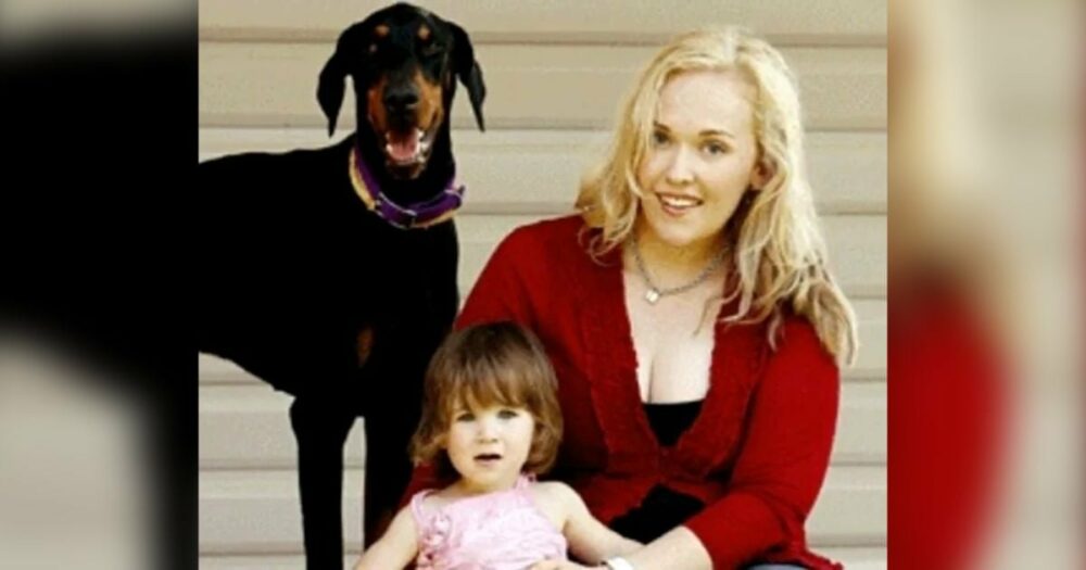 Familie adoptiert misshandelten Rettungshund, der eine Woche später ihrer Tochter das Leben rettet