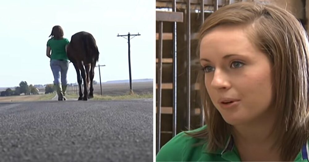 Teenager-Mädchen entdeckt unterernährtes Pferd allein auf der Straße und läuft 9 Meilen, um ihm zu helfen