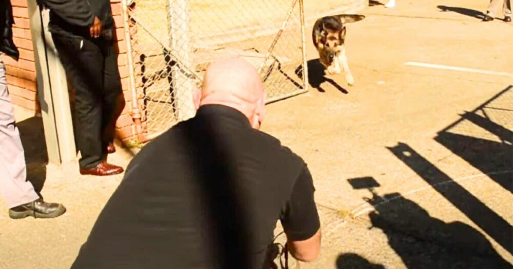 Hundeführer trifft seinen “Kampfgefährten” wieder, den er seit 2 Jahren nicht mehr gesehen hat