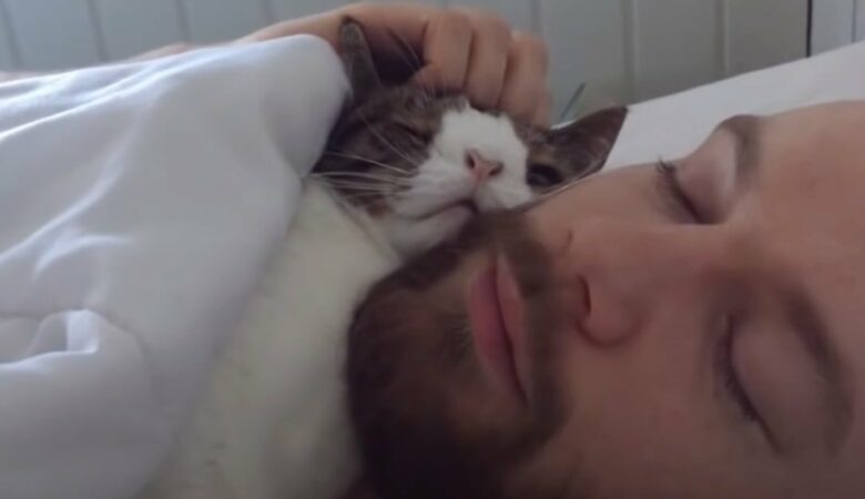 Ein Mann und seine Tierheim-Katze bringen die Herzen mit einer bezaubernden Schlafenszeit-Routine zum Schmelzen