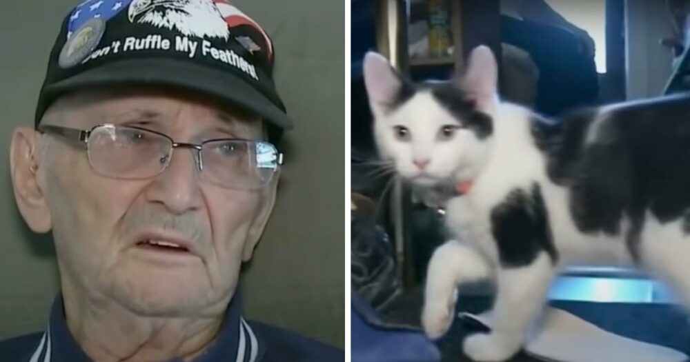Älterer Mann ist nach einem Sturz eingeklemmt und kann keine Hilfe holen, bis eine Katze zu Hilfe kommt