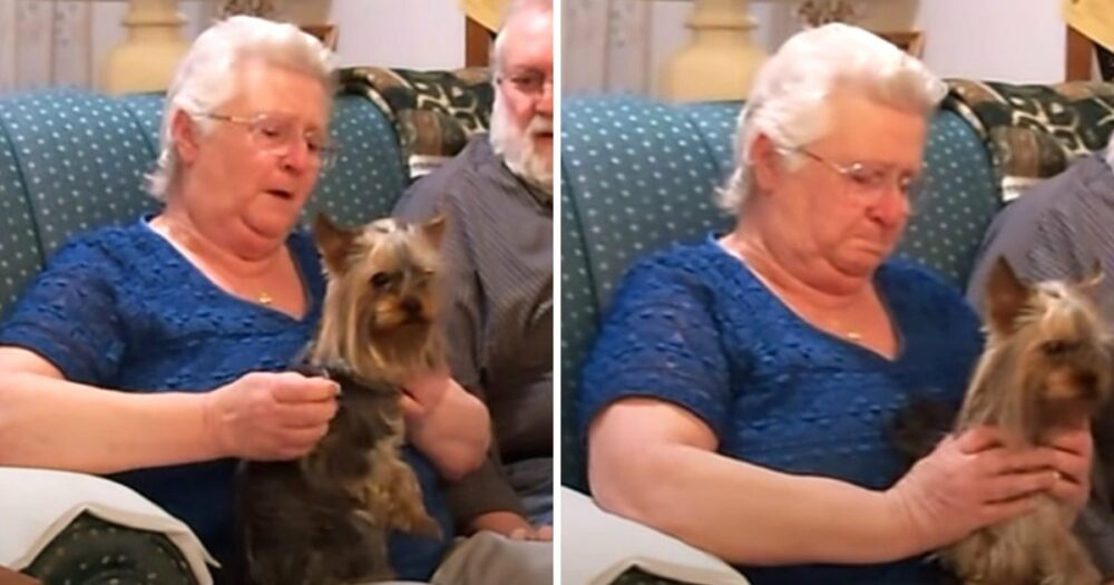 Mutter wird emotional, als ihre Familie zu Weihnachten ihren neuen Hund bekommt