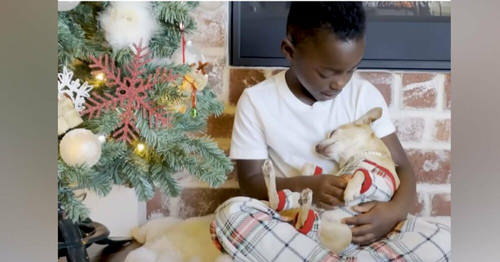Kleiner Junge schreibt “süßen” Brief an blinden 16-jährigen Hund, der sich seit Jahren um ihn “gekümmert” hat