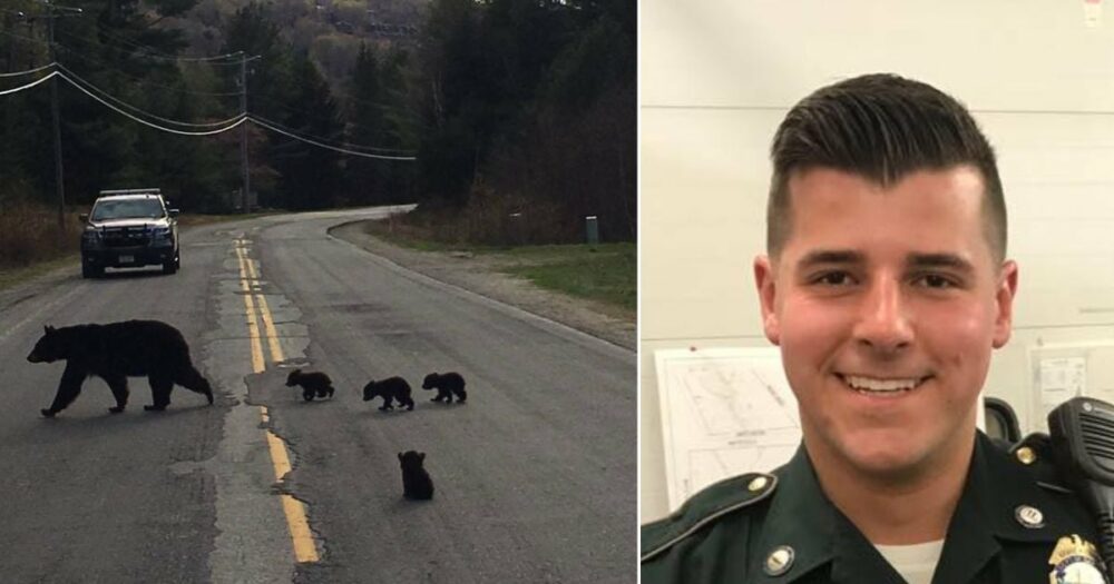 Polizist erkennt schnell den traurigen Grund, warum Bärenbaby die Straße nicht überqueren will