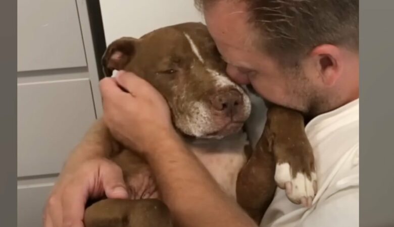 Mann nimmt alten obdachlosen Hund in den Arm und hört sich seine traurigen Geschichten” an