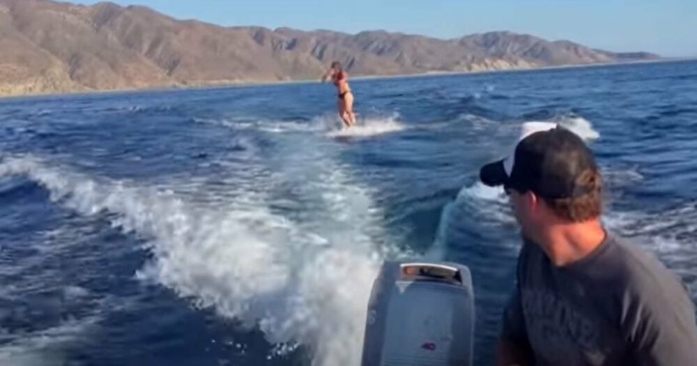Eine Frau, die in der Sea of Cortez Wakeboarding betreibt, wird von unzähligen Meeresbewohnern flankiert