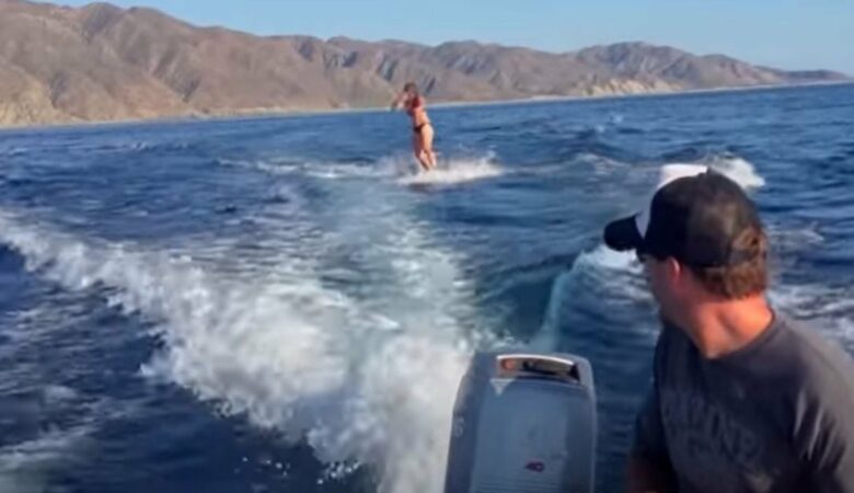 Eine Frau, die in der Sea of Cortez Wakeboarding betreibt, wird von unzähligen Meeresbewohnern flankiert