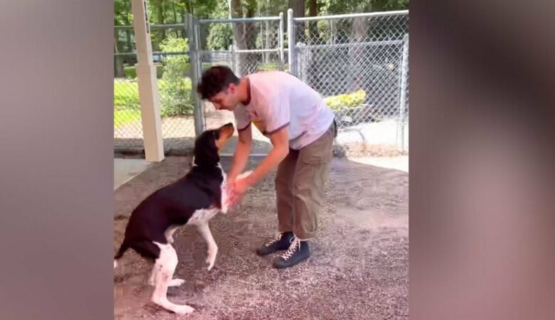 Der “lauteste” Hund des Tierheims verstummt endlich, als er sieht, dass sein Vater auf ihn wartet